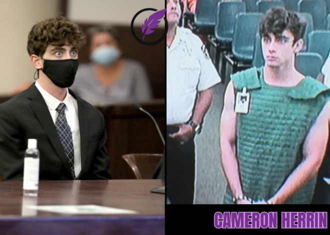 Cameron Herrin: Der tragische Fall, der weltweit Aufmerksamkeit erregte